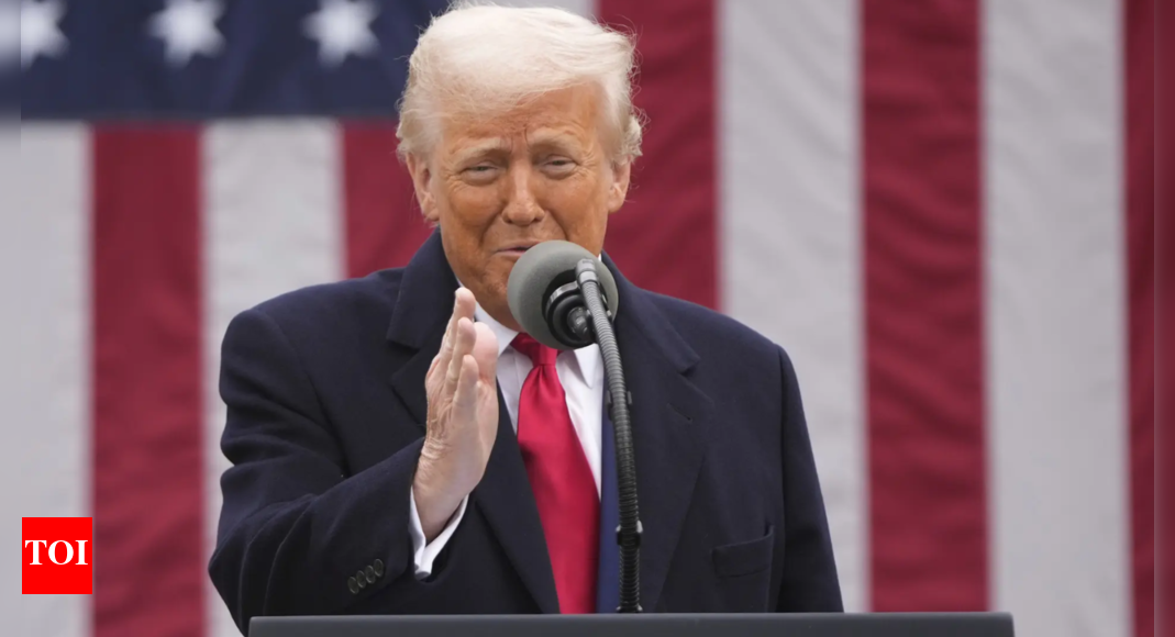 'Extremely dangerous': Harvard professor raises red flag on Trump's tariffs as markets tank