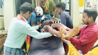 Villager injured in bear attack