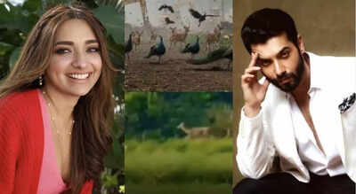 From Sharad Malhotra to Jiya Shankar: TV celebs raise concern over Hyderabad deforestation
