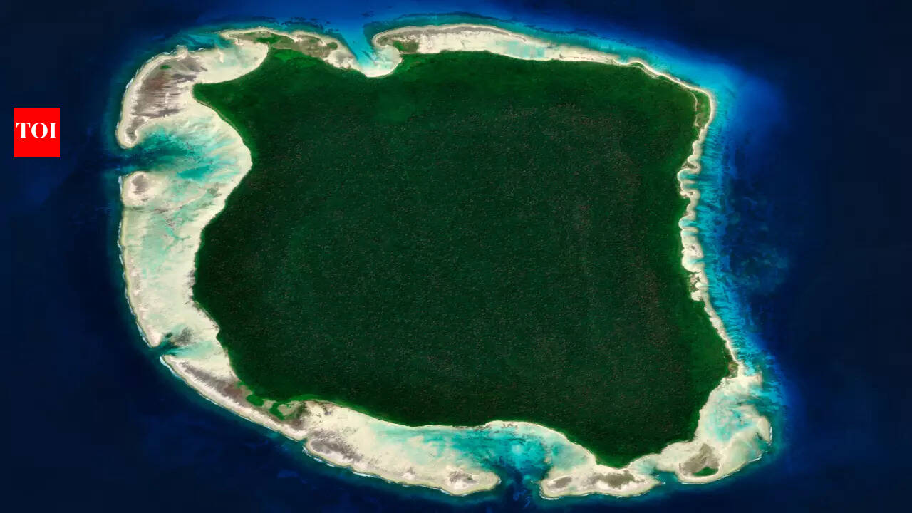 Why no one can visit North Sentinel Island – and why you shouldn't try | -  The Times of India