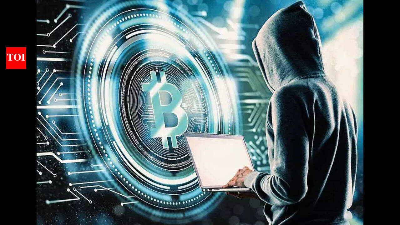 Startup Uses Wasp-Inspired Tech to Track Crypto Crime | Hyderabad News -  The Times of India