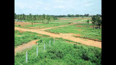 Goa Government Commits to Preserving Agricultural Land Amid Development Projects