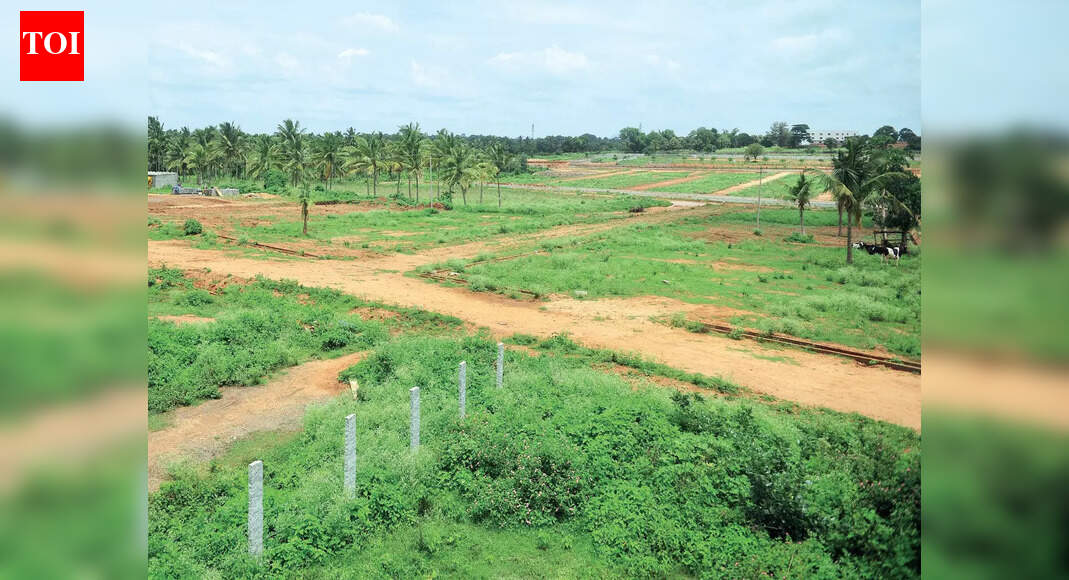 Goa Government Commits to Preserving Agricultural Land Amid Development ...