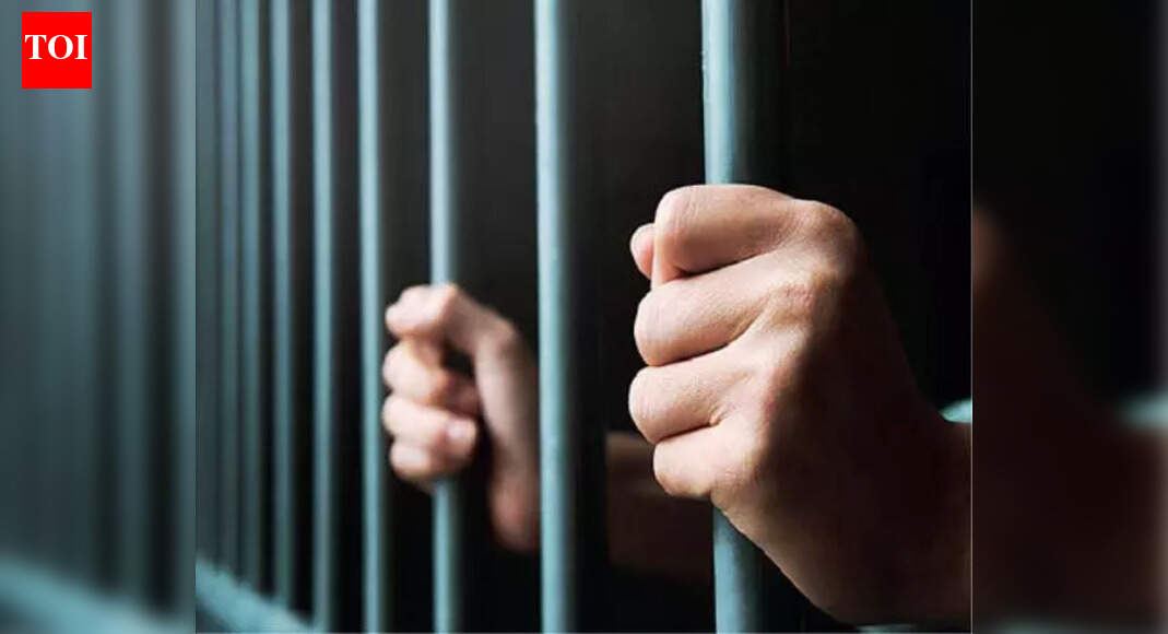 Man gets life in jail for wife’s murder | Jaipur News - The Times of India