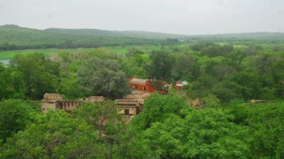 ‘Roaring’ row over party in Ranthambore tiger haven