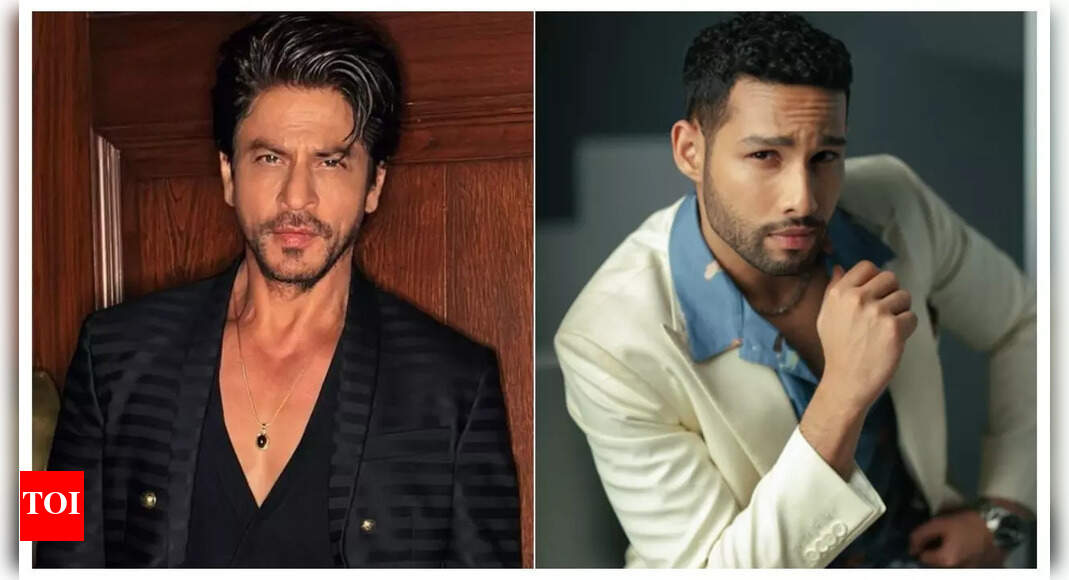 When Siddhant Chaturvedi partied with SRK