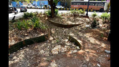 Nashik Municipal Corporation provides notice to 70 developers for not maintaining traffic islands