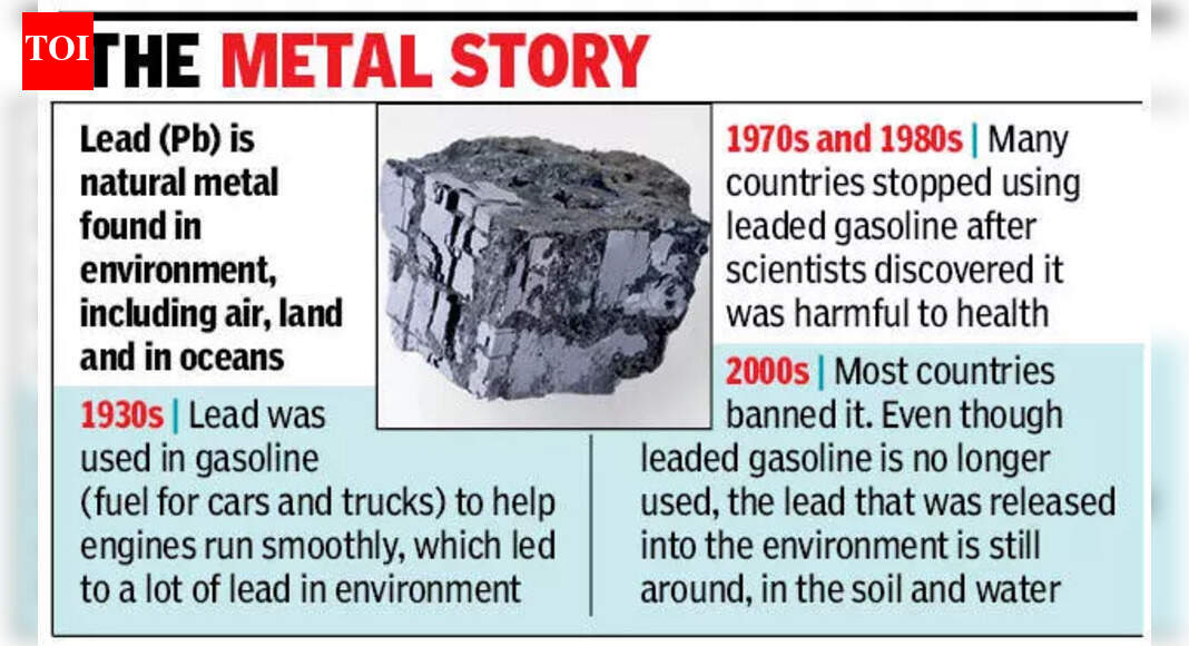 Very high levels of lead pollution in northern Indian Ocean: Study ...