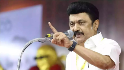 DMK to challenge waqf bill in SC, says Tamil Nadu CM Stalin
