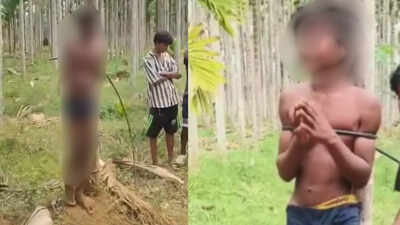'Red ants place in undergarments': Karnataka teen severely tortured over theft allegations, 'misconduct' towards women