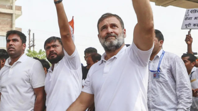 'Will destroy fake barrier of 50% quota cap': Rahul Gandhi bats for Dalits, OBCs in Bihar