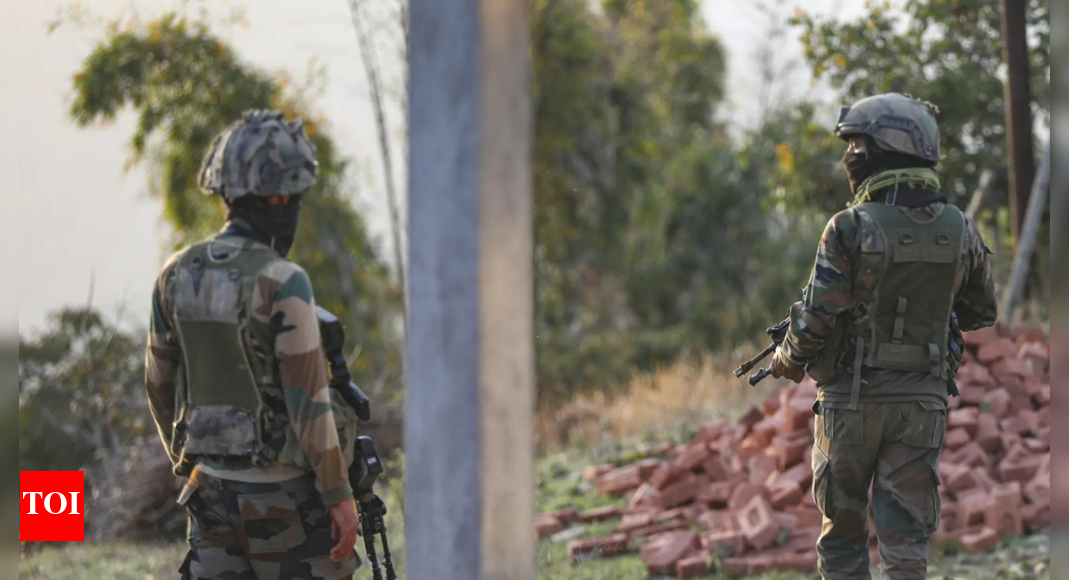 How India plans to dismantle 'terror tunnels' along LoC