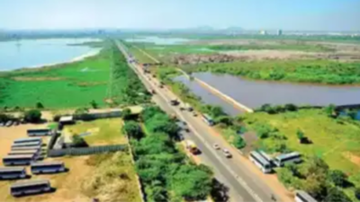 Eco tours highlight ecological and socio-political challenges in Chennai