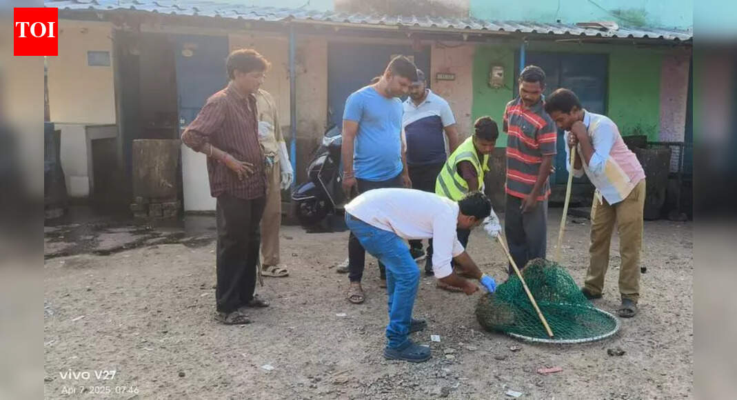 Jeypore civic body starts anti-rabies vaccine drive for stray dogs ...