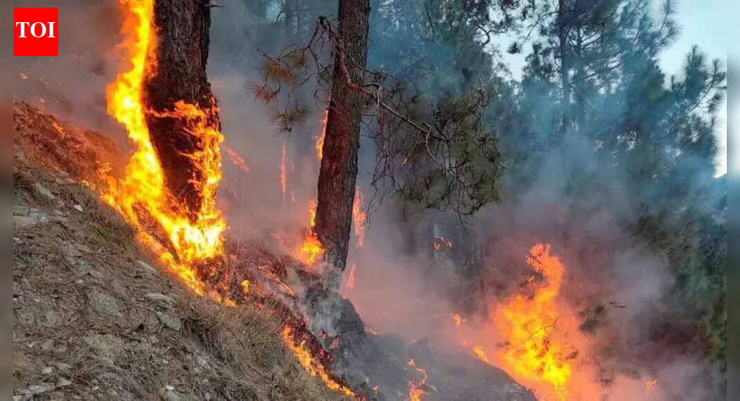 Improved prevention measures help stem wildfires in Similipal ...