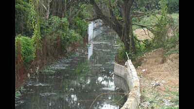 Mangaluru City Corporation to clear stormwater drains to avoid floods in monsoon
