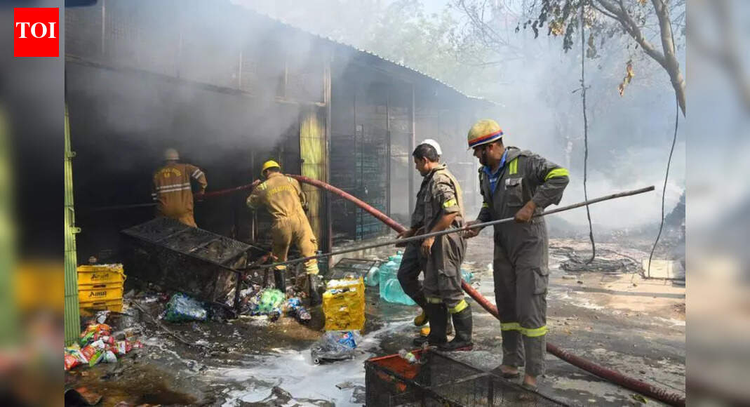 Tree catches fire as wire falls on it, shops gutted too | Noida News ...