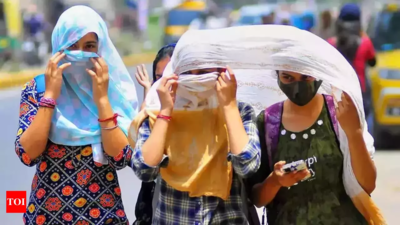 Peak summer here early, Delhi sees year's 1st heatwave