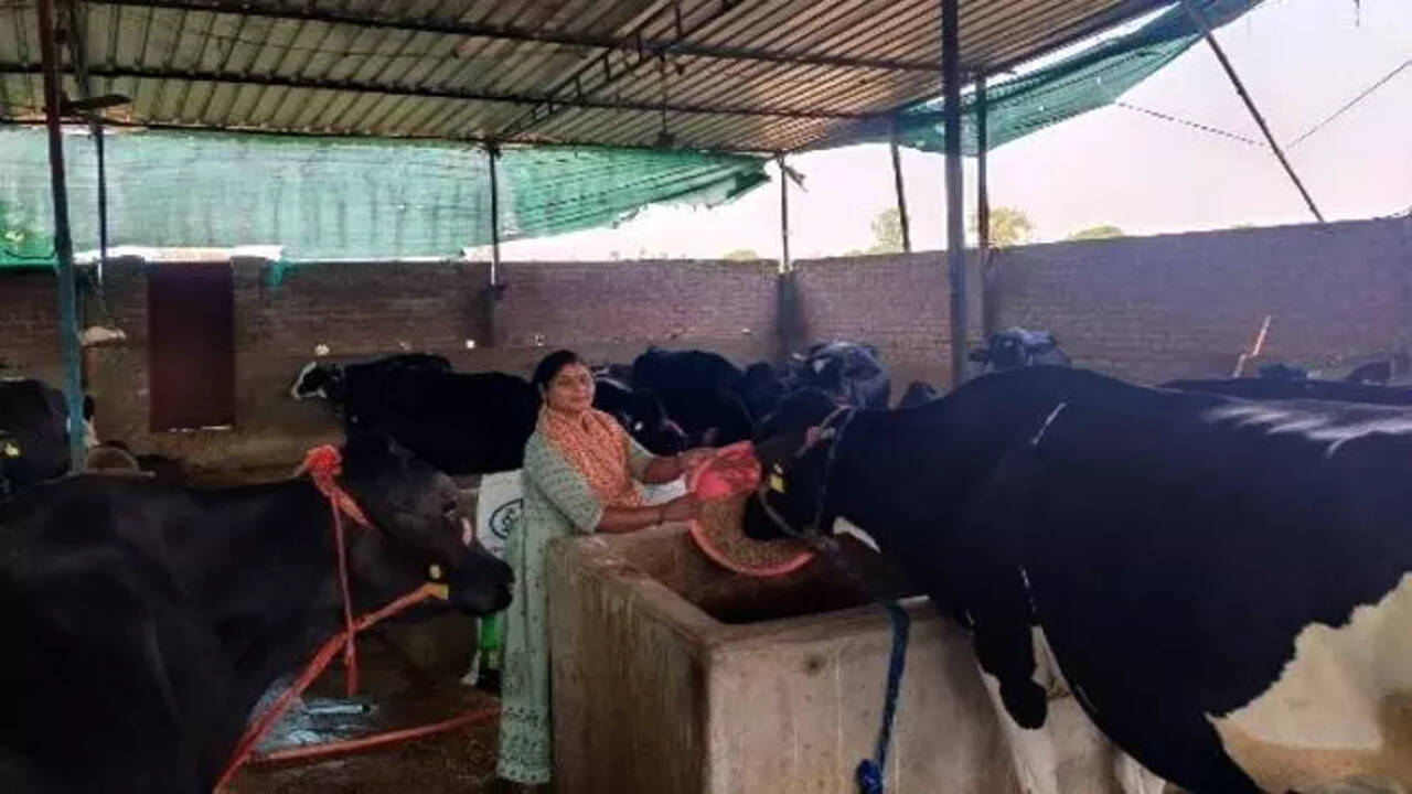 Milking success: Dairy farming turns Vinita of UP's Sonbhadra into 'Lakhpati Didi' | Varanasi News - The Times of India