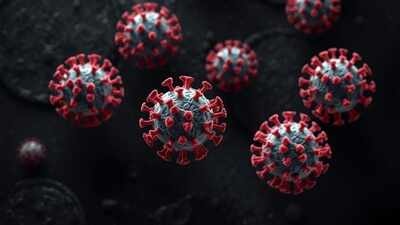 Mexico reports first human death from H5N1 bird flu