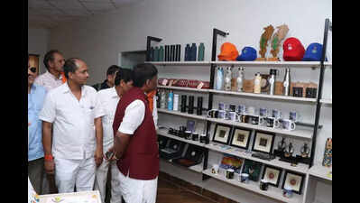 From neonatal care unit to souvenir shop, facilities launched at Nandanvan Safari