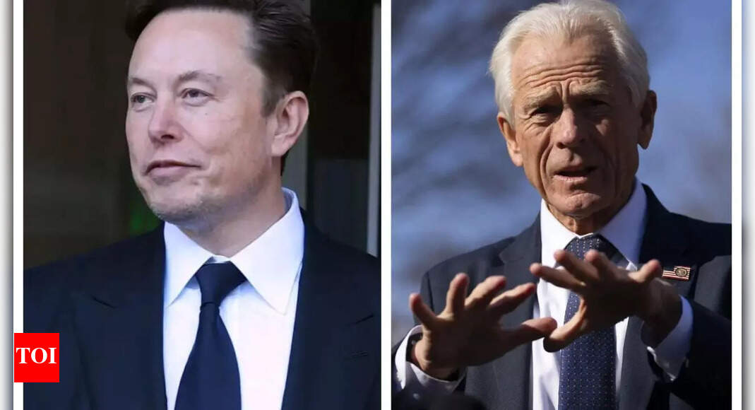 Boys will be boys: White House responds to 'moron' spat between Elon Musk and Peter Navarro over tariff