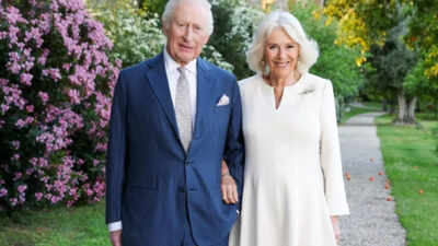 20 years of King Charles-Camilla's marriage: When Prince Harry, William begged their father not to marry her after Princess Diana's tragic death