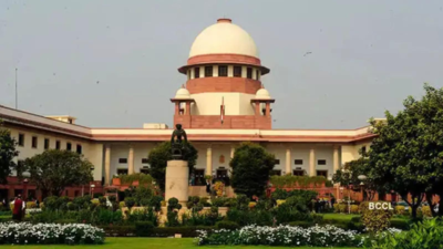 Constitution, not political expediency, should guide governors, observes SC