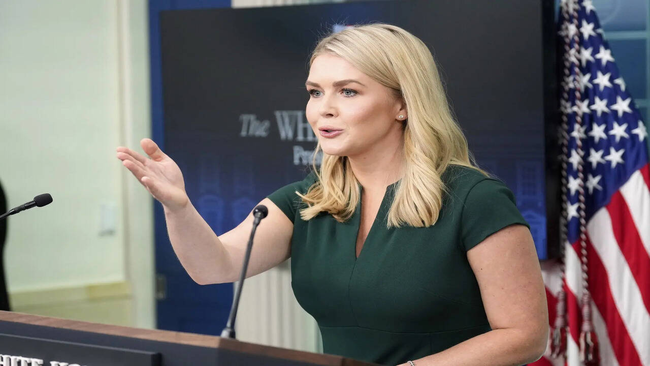 Leavitt tears into Dems: 'Lunatics' want to hand social security to  illegals - The Times of India