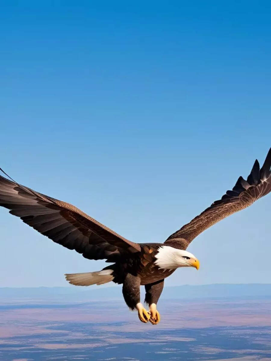 10 animals with the best sense of direction | Times of India
