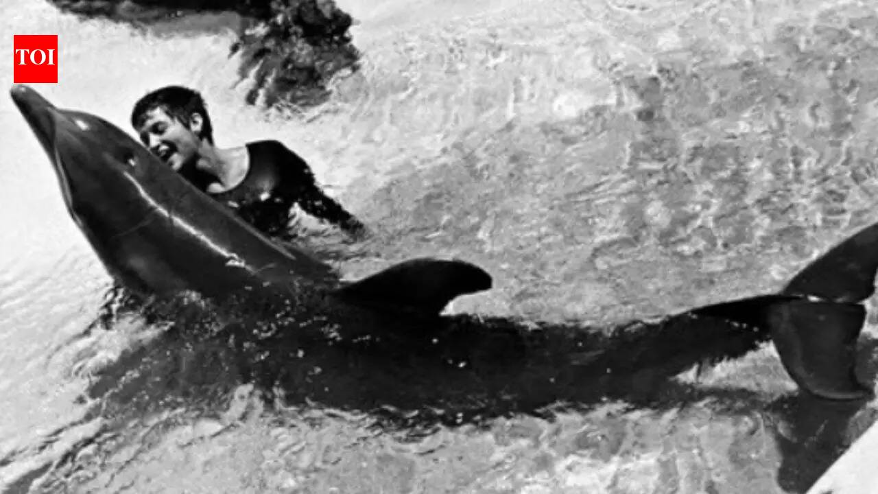 How a dolphin’s love for his trainer disrupted a NASA-funded experiment ...
