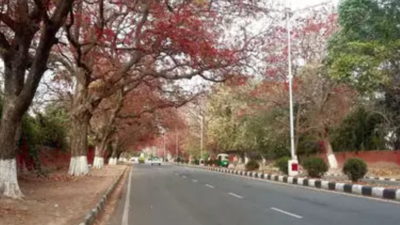‘7V’ roads, cycle tracks: New Agra set to be Chandigarh lookalike
