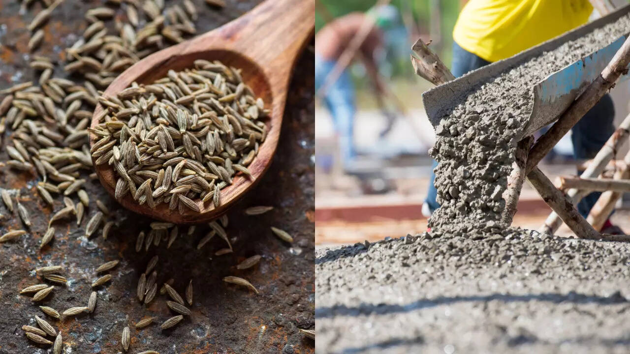 Charcoal dust to cement: Common adulterants used in fake Jeera (Cumin) and  how to do purity check - The Times of India