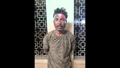 Man arrested for attacking, injuring cops