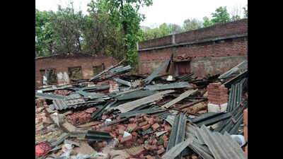 Storm damages poultry farm, 1,500 chicks dead