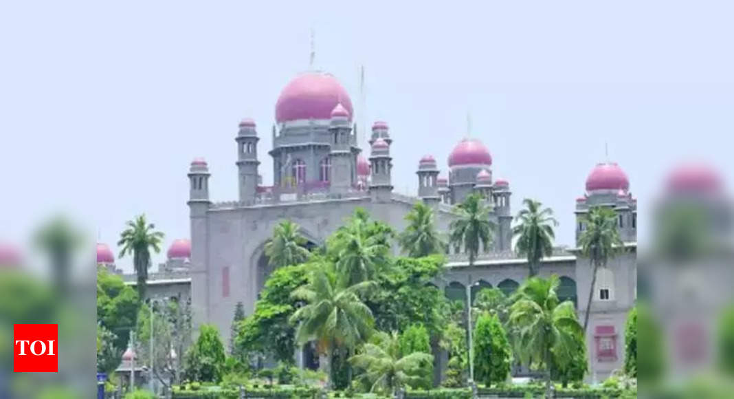Telangana HC issues directive to police dept on woman’s job plea