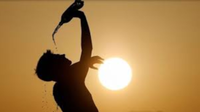 Delhi heatwave eases with evening rain and strong winds