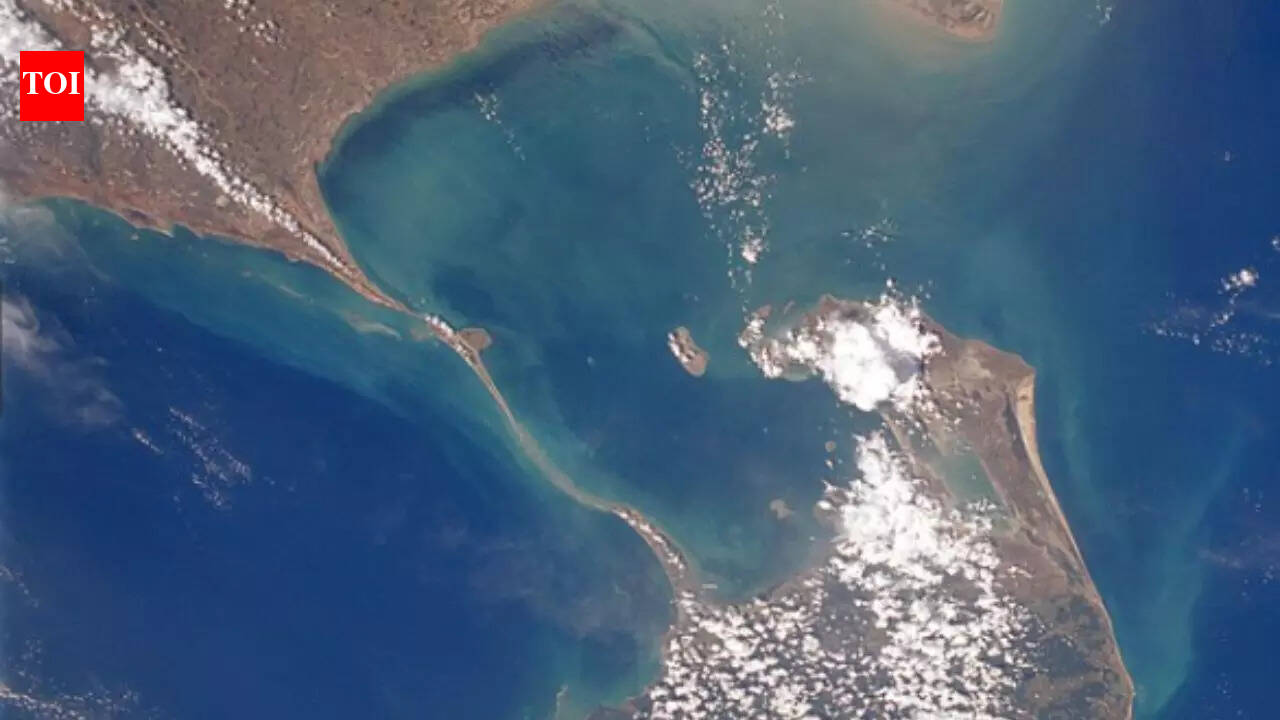 Ram Setu: Floating stones, savage sea, and sacred skill: 5 facts about ...