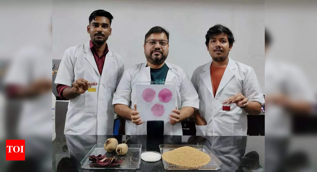 NIT Rourkela develops eco-friendly food packaging to monitor seafood ...
