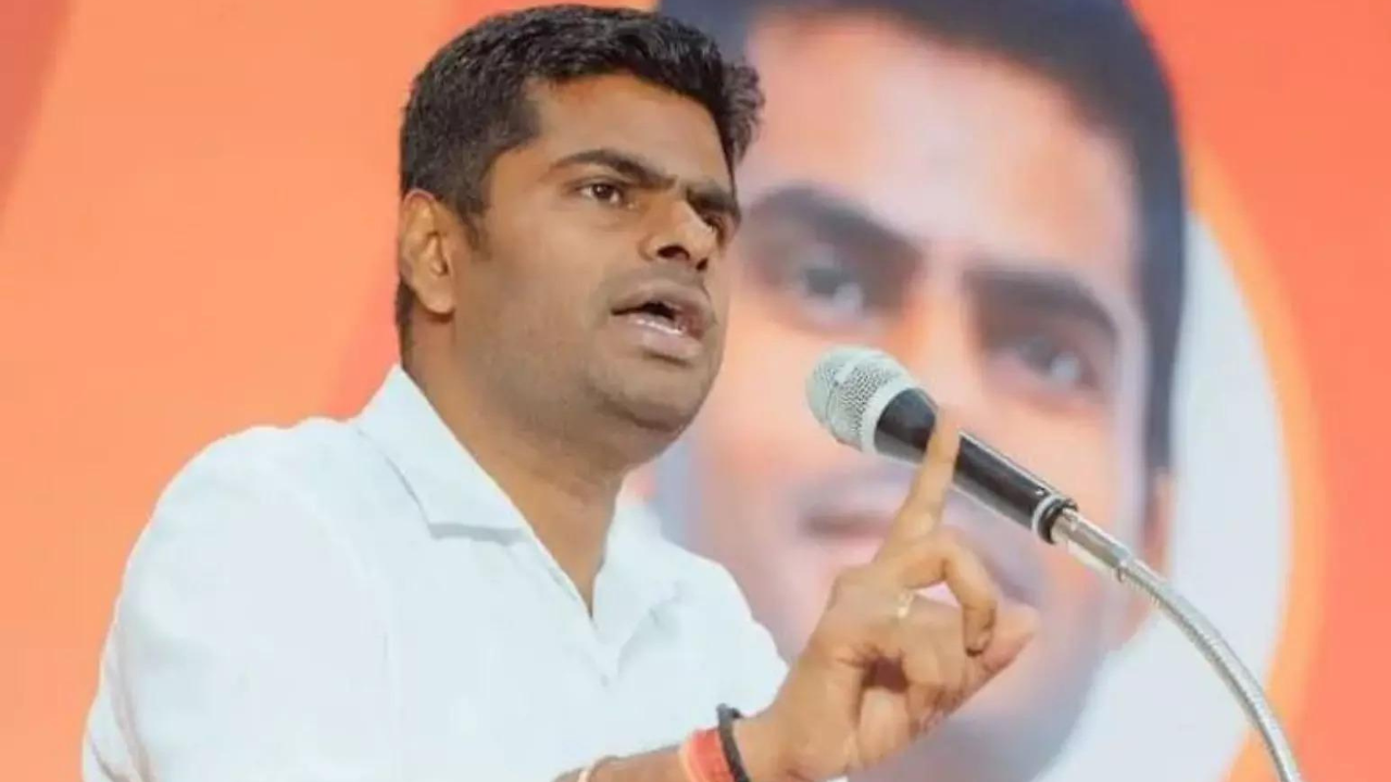 What next for Annamalai? Speculation rife in BJP over future of party’s outgoing Tamil Nadu chief 5 Next stop, Delhi? What's ahead for K Annamalai as Tamil Nadu BJP gets new chief | India News - The Times of India