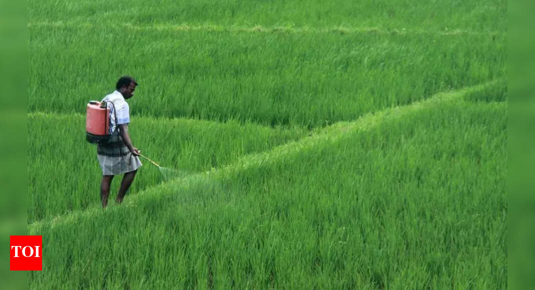 Govt converts 5 acres paddy land for cultural complex - The Times of India