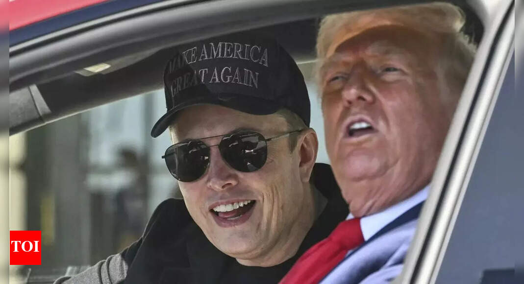 Did Donald Trump say 'I don't need Elon for anything'? Here's the truth