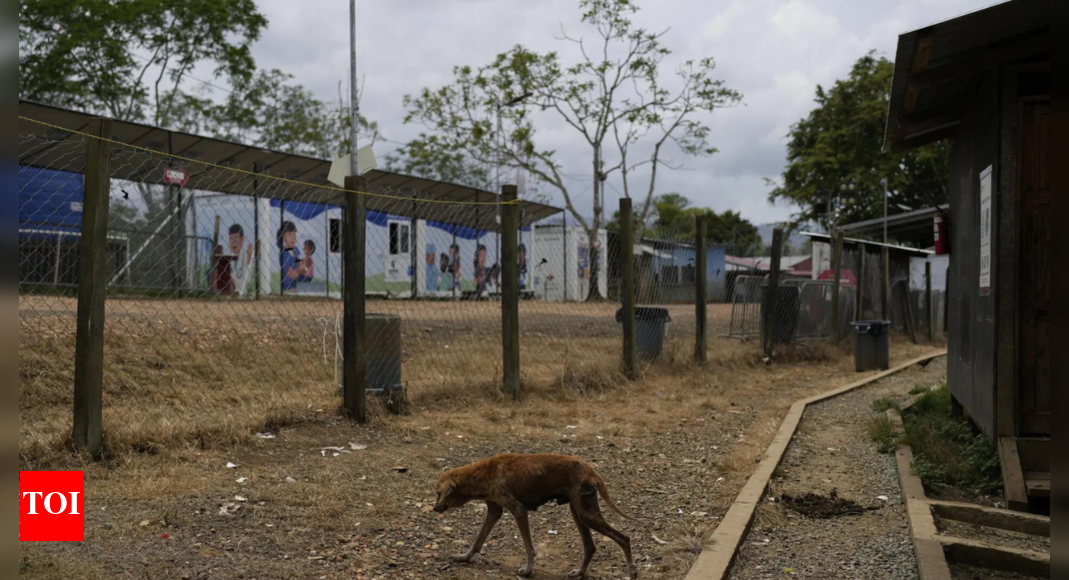 Migrant crossings through Darien Gap plunge 99% under Trump’s crackdown