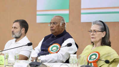 गुजरात में कांग्रेस का मिशन: अंबेडकर जयंती से 'संविधान बचाओ यात्रा'