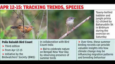 Cams, binoculars out as birders set out on Nababarsha count
