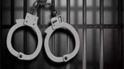 UK gangster owns up to west Delhi businessman's murder
