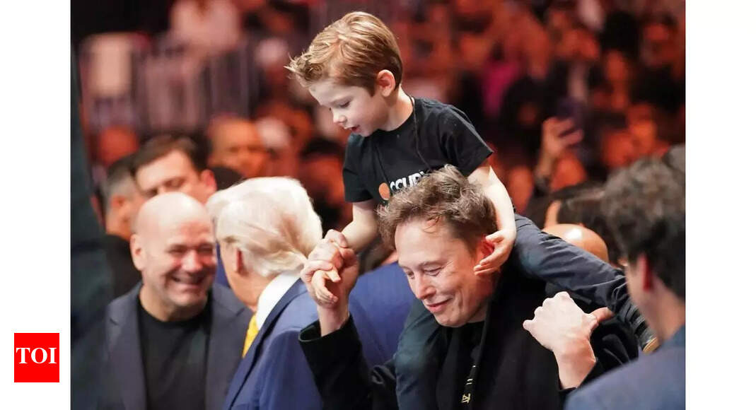 Elon Musk attends UFC fight in Miami, reshares this photo with Trump ...