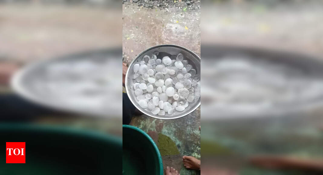 Unseasonal rain hit parts of Jalgaon district, damages crops on 1,000 ...