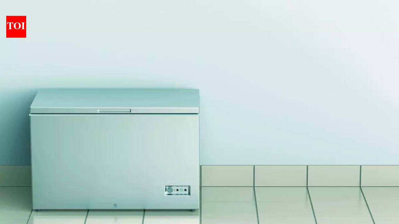 Best Convertible Deep Freezers: For Flexible Storage - The Times Reviews
