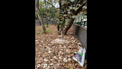 No lesson learnt: Despite multiple fires, horticulture waste piles ...
